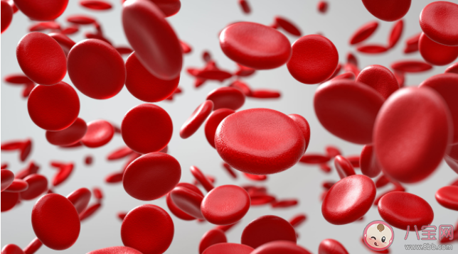 孕期貧血對孕婦和寶寶有什么危害 預(yù)防貧血孕婦應(yīng)該怎么吃