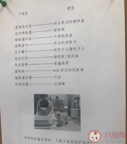 窮養貓和富養貓有什么區別 養一只寵物要花多少錢