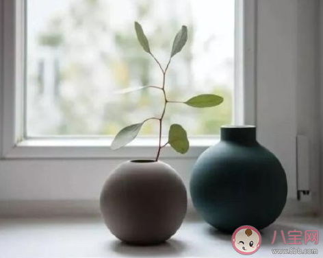 該不該選擇低欲望生活方式 低欲望生活錯了嗎 該不該選擇低欲望生活方式 低欲望生活錯了嗎