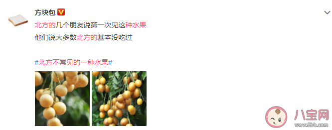 黃皮和枇杷同一種水果嗎 黃皮的皮和核能吃嗎