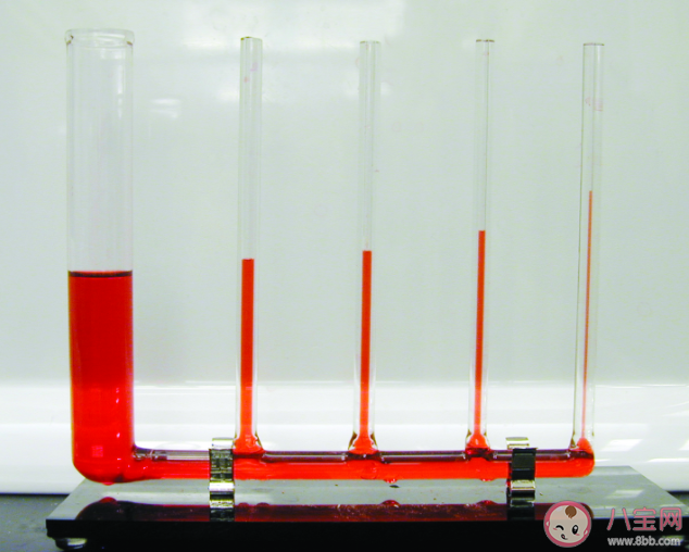 水有可能往高處流嗎 螞蟻在莊園6月25日最新答案