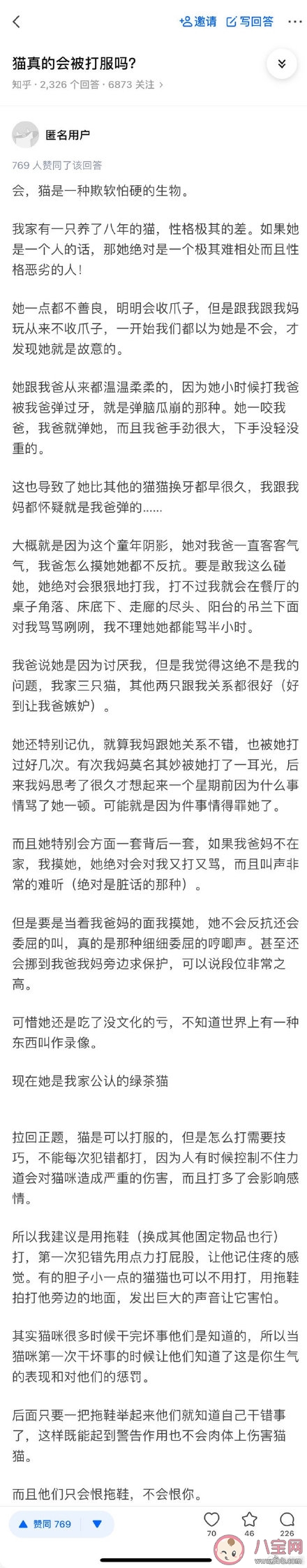 貓真的會被打服嗎 打貓之后貓會記仇嗎