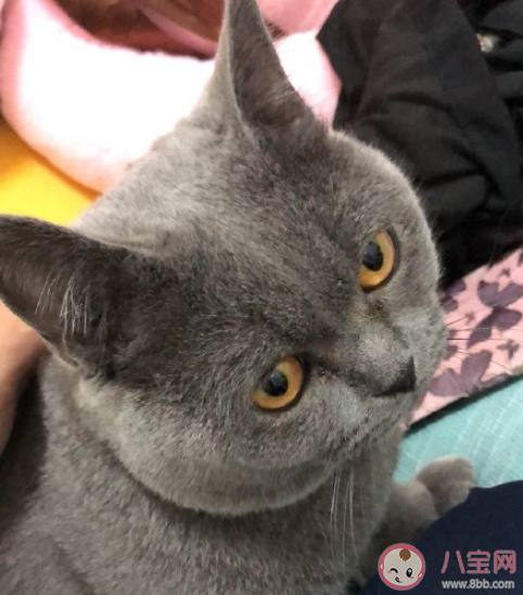 社恐怎么和新同事混熟 新同事怎樣快速融入公司