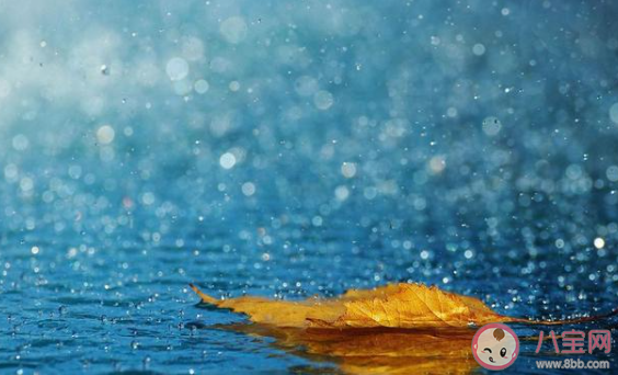 很多人聽見雨聲后很容易平靜心情這是因?yàn)?最新螞蟻莊園7月1日答案