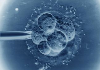 做試管打激素針會長胖嗎 做試管前怎么健康減肥又不傷身