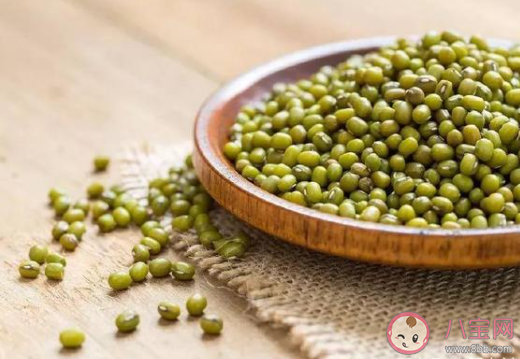 想煮出顏色碧綠的綠豆湯下列哪個操作是正確的 螞蟻莊園7月2日答案