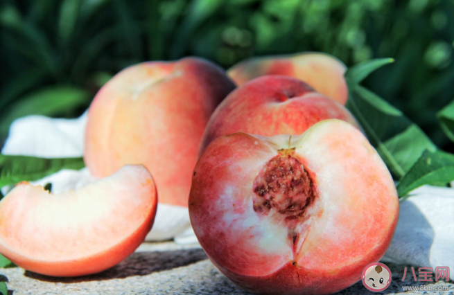 三伏天要多吃哪些水果 三伏天如何養生調理