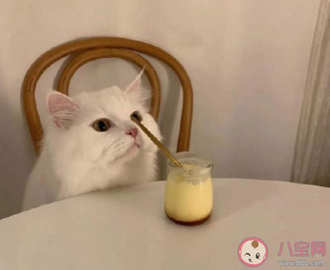 有關吃醋的朋友圈說說句子 吃醋了發朋友圈心情說說