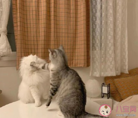 有關吃醋的朋友圈說說句子 吃醋了發朋友圈心情說說