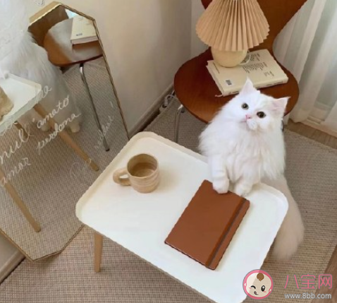 有關吃醋的朋友圈說說句子 吃醋了發朋友圈心情說說