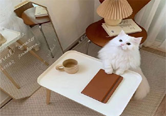 有關吃醋的朋友圈說說句子 吃醋了發朋友圈心情說說