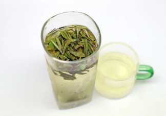 什么樣的茶適合冷泡 冷泡茶要注意什么