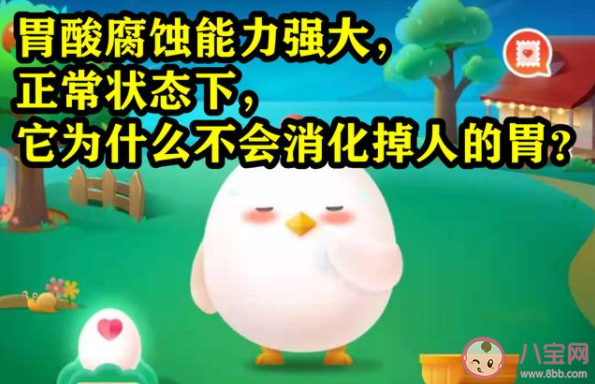 胃酸腐蝕能力強大為什么不會消化掉人的胃 螞蟻莊園7月6日答案解析