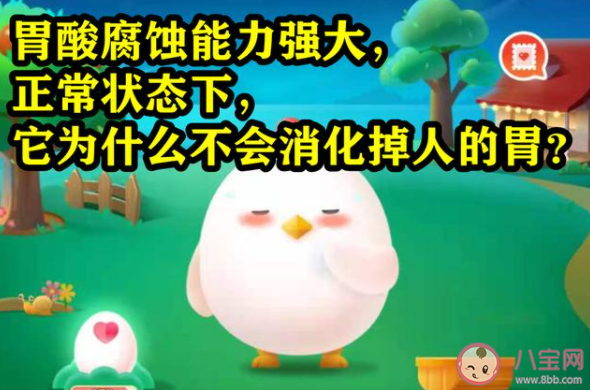 胃酸為什么不會消化掉人的胃 最新螞蟻莊園7月6日答案