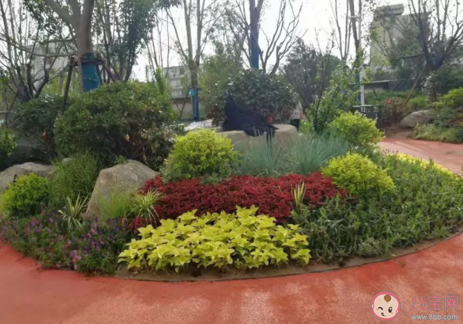 全國最大城市林帶開放 西安幸福林帶有哪些好玩的