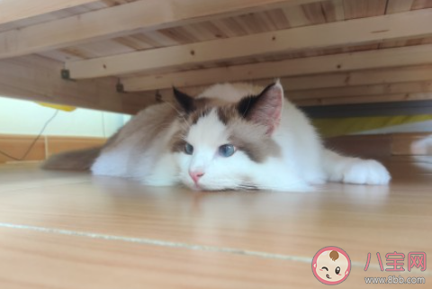 跟父母溝通無效的崩潰瞬間 不能和父母溝通是怎樣的感受 跟父母溝通無效的崩潰瞬間 不能和父母溝通是怎樣的感受