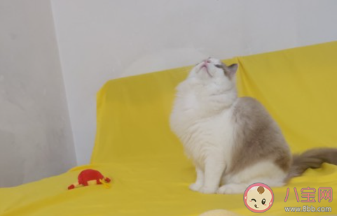 跟父母溝通無效的崩潰瞬間 不能和父母溝通是怎樣的感受 跟父母溝通無效的崩潰瞬間 不能和父母溝通是怎樣的感受