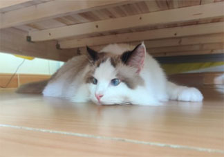 跟父母溝通無效的崩潰瞬間 不能和父母溝通是怎樣的感受