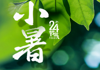 2021小暑養生吃什么食物 小暑養生飲食注意事項