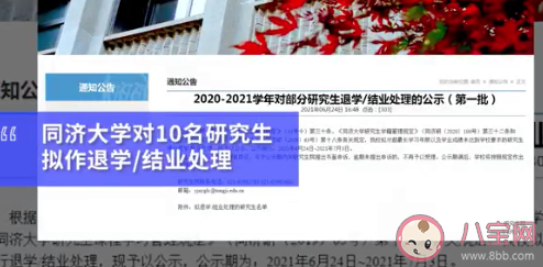 同濟大學擬退學10名研究生 為什么研究生會被清退