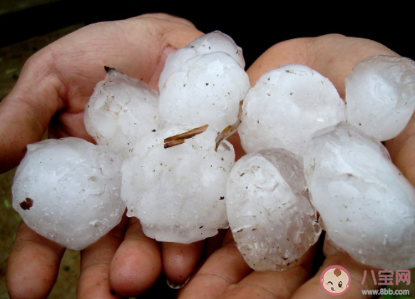 冰雹一般多發在哪個季節 螞蟻莊園7月10日正確答案