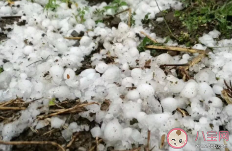 螞蟻莊園冰雹一般多發于哪個季節 7月10日答案介紹