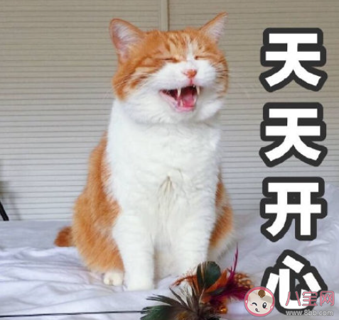 有哪些使人每天進步的好習慣 值得堅持的好習慣盤點