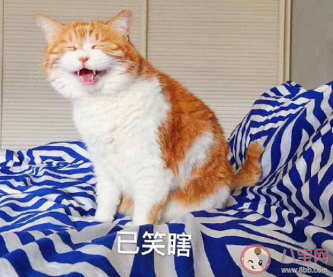 有哪些使人每天進步的好習慣 值得堅持的好習慣盤點