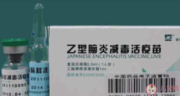 接種乙腦疫苗后不能吃什么 乙腦疫苗接種前后的注意事項(xiàng)有哪些