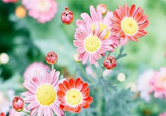 內向算不算性格缺陷 內向和性格缺陷是什么關系