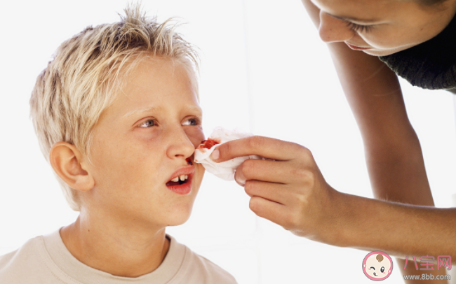 仰頭止鼻血有什么危害 正確止鼻血方法是什么