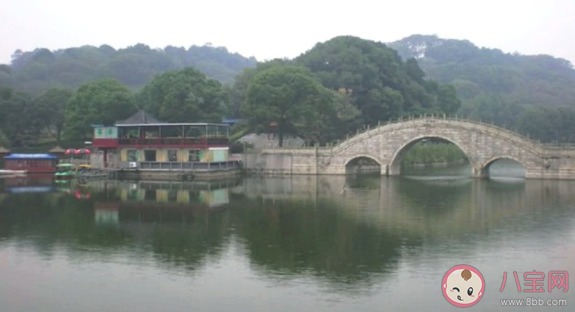湖南和湖北里的湖指的是哪個湖泊 螞蟻莊園7月12日答案介紹