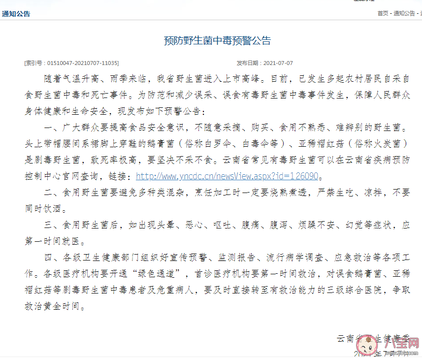有毒野生菌種類一覽 加工食用野生菌應該注意哪些問題