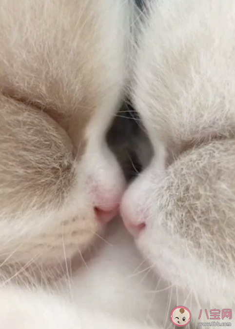 情緒穩定是不是成年人的必修課 怎么樣保持情緒穩定