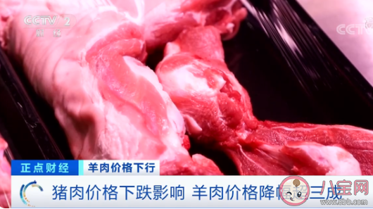 羊肉價格降幅超三成是什么原因 下半年羊肉還會漲價嗎