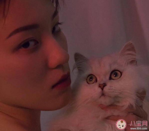 朋友圈里的精致會給你帶來焦慮嗎 為什么很少發朋友圈了 朋友圈里的精致會給你帶來焦慮嗎 為什么很少發朋友圈了