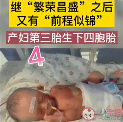 新鄉一產婦第三胎生下龍鳳四胞胎 懷了多胞胎要注意些什么