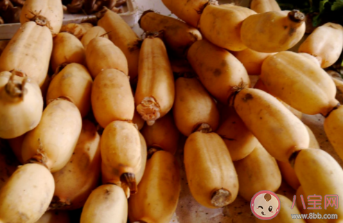 我們經常食用的藕其實是蓮的什么部位 螞蟻莊園7月16日答案