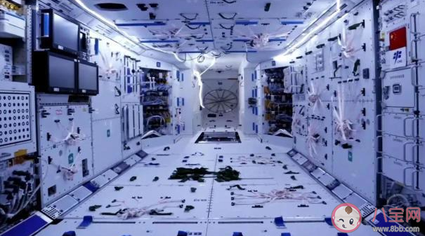 螞蟻莊園在中國空間站生活的宇航員他們能洗澡嗎 7月17日答案介紹