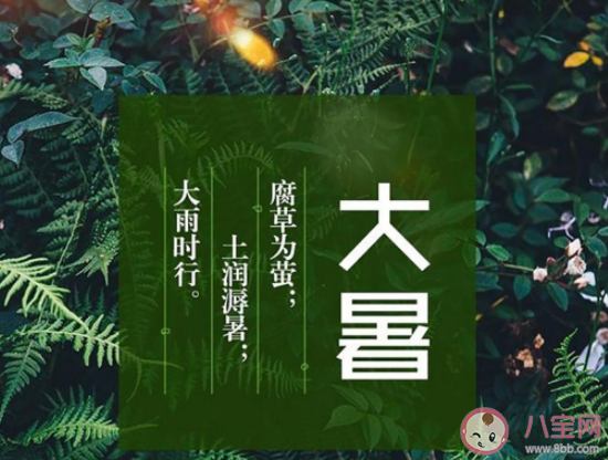 最新大暑節(jié)氣經(jīng)典暖心祝福語(yǔ)句子 大暑節(jié)氣暖心一句話說(shuō)說(shuō)祝福 最新大暑節(jié)氣經(jīng)典暖心祝福語(yǔ)句子 大暑節(jié)氣暖心一句話說(shuō)說(shuō)祝福