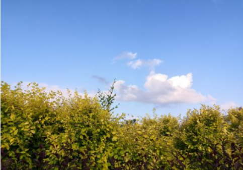 辭職后的空窗期里應該做什么 怎么去開始下一份工作