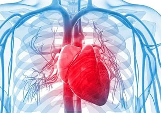 平時不吃肉就不會得心血管疾病了嗎 螞蟻莊園7月21日答案