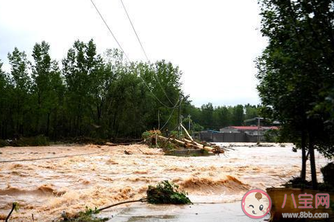 如果被洪水圍困如何發出求救信號 螞蟻莊園7月24日答案