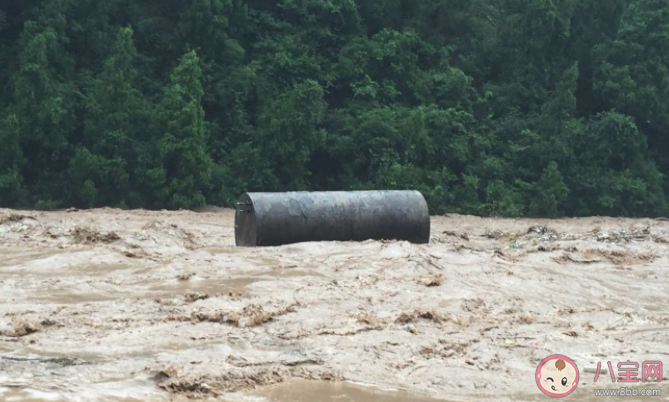 被洪水圍困如何發出求救信號 螞蟻莊園7月23日正確答案