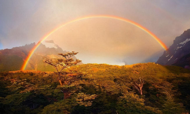 愿晴日朗照人間皆安朋友圈文案句子 愿晴日朗照人間皆安美好祝愿句子