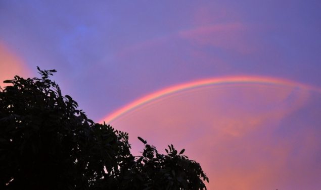 愿晴日朗照人間皆安朋友圈文案句子 愿晴日朗照人間皆安美好祝愿句子