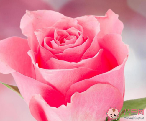 七夕節(jié)一個(gè)人過的傷感文案帶圖 七夕節(jié)一個(gè)人過的圖片感傷說說