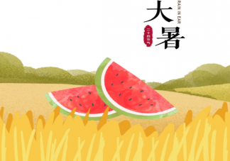 大暑節氣吃什么食物養生 大暑節氣養生禁忌