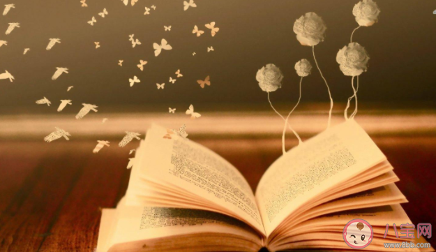 努力讀書和積累社會經驗哪個更重要 怎樣提高自己社會閱歷與經驗 努力讀書和積累社會經驗哪個更重要 怎樣提高自己社會閱歷與經驗