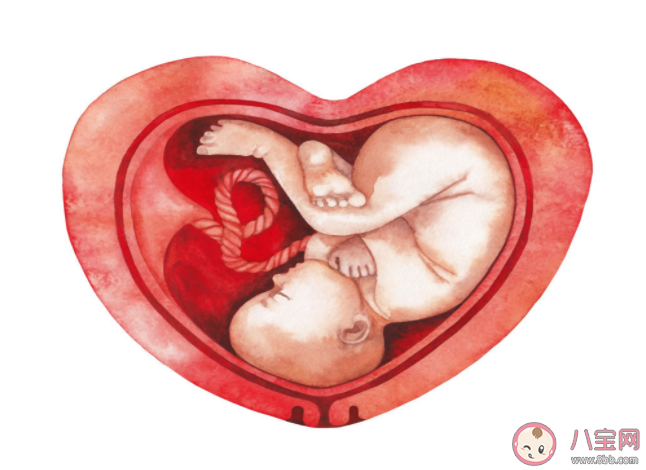 胎盤增厚是好是壞 超聲查出胎盤增厚怎么辦